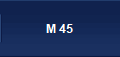 M 45